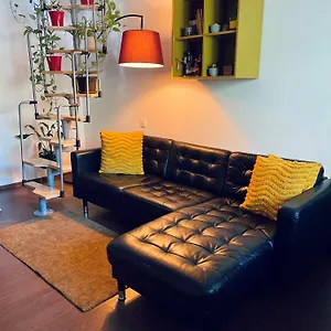 Apartament Garden, Bucureşti